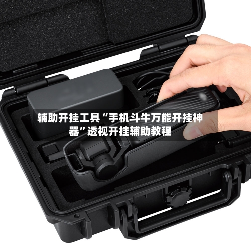 辅助开挂工具“手机斗牛万能开挂神器”透视开挂辅助教程-第1张图片