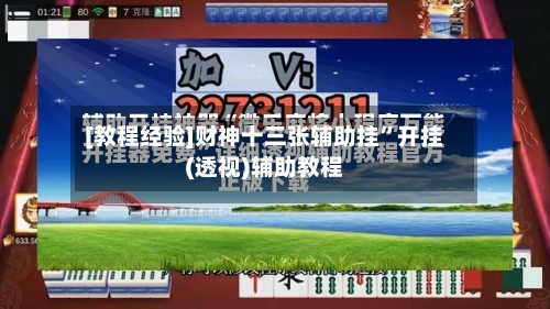 [教程经验]财神十三张辅助挂	”开挂(透视)辅助教程-第2张图片