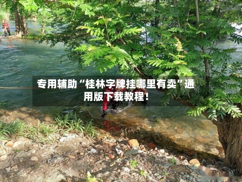 专用辅助“桂林字牌挂哪里有卖”通用版下载教程！-第1张图片