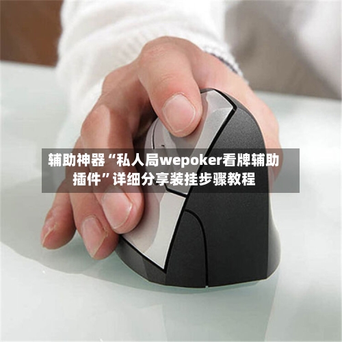 辅助神器“私人局wepoker看牌辅助插件	”详细分享装挂步骤教程-第2张图片