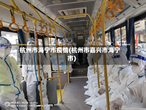 杭州市海宁市疫情(杭州市嘉兴市海宁市)-第2张图片