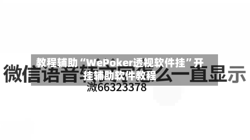 教程辅助“WePoker透视软件挂	”开挂辅助软件教程-第3张图片