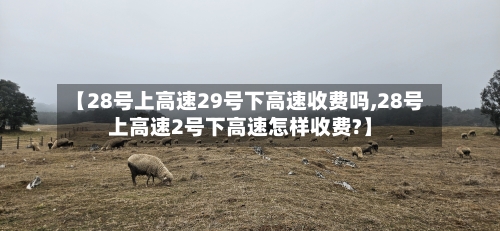 【28号上高速29号下高速收费吗,28号上高速2号下高速怎样收费?】-第1张图片