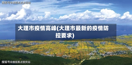 大理市疫情高峰(大理市最新的疫情防控要求)-第1张图片