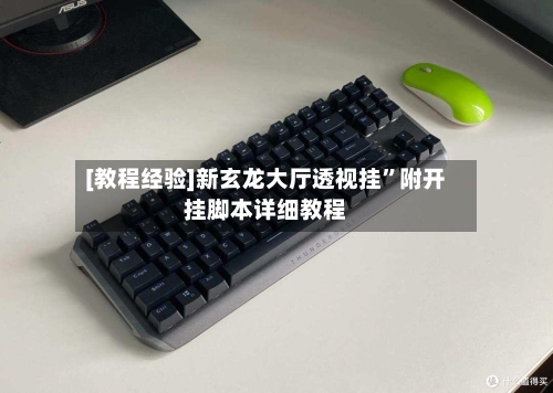 [教程经验]新玄龙大厅透视挂	”附开挂脚本详细教程-第1张图片