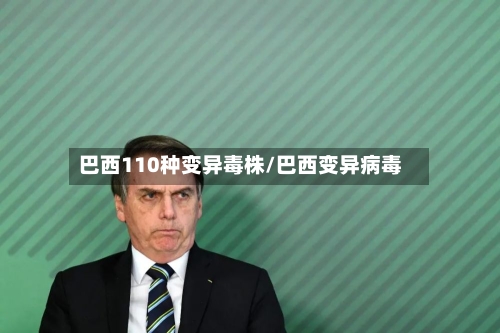 巴西110种变异毒株/巴西变异病毒-第2张图片
