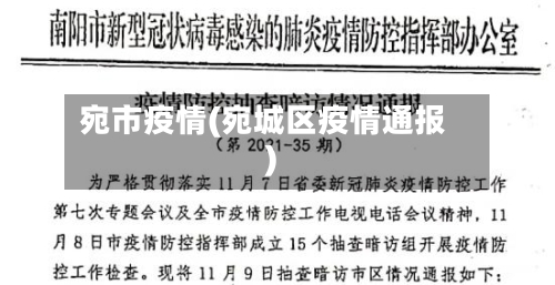 宛市疫情(宛城区疫情通报)-第2张图片