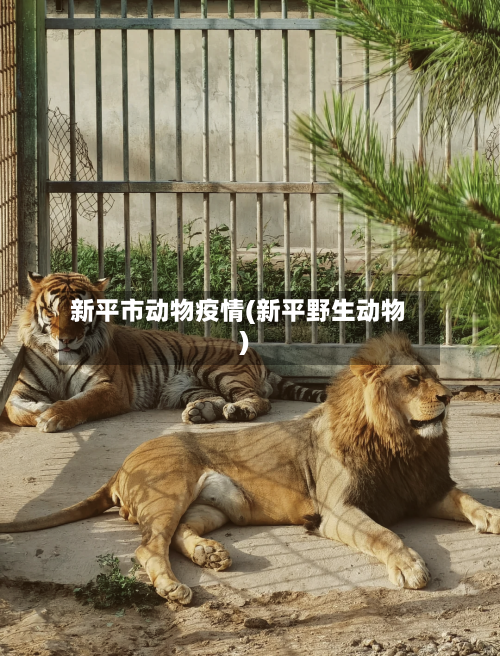 新平市动物疫情(新平野生动物)-第1张图片