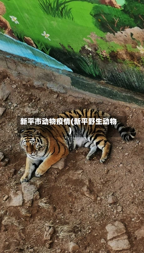 新平市动物疫情(新平野生动物)-第3张图片