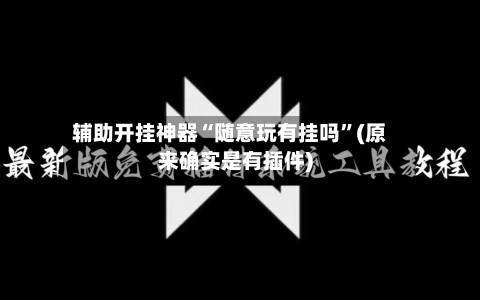 辅助开挂神器“随意玩有挂吗	”(原来确实是有插件)-第2张图片