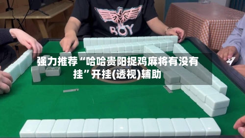 强力推荐“哈哈贵阳捉鸡麻将有没有挂”开挂(透视)辅助-第2张图片