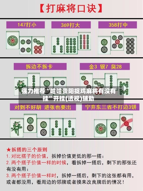 强力推荐“哈哈贵阳捉鸡麻将有没有挂”开挂(透视)辅助-第1张图片