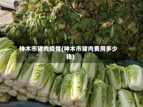 神木市猪肉疫情(神木市猪肉费用多少钱)-第2张图片