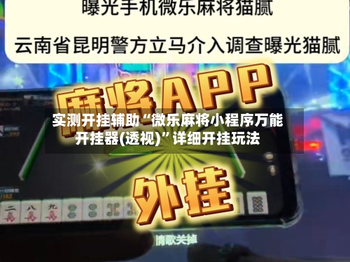 实测开挂辅助“微乐麻将小程序万能开挂器(透视)	”详细开挂玩法-第2张图片