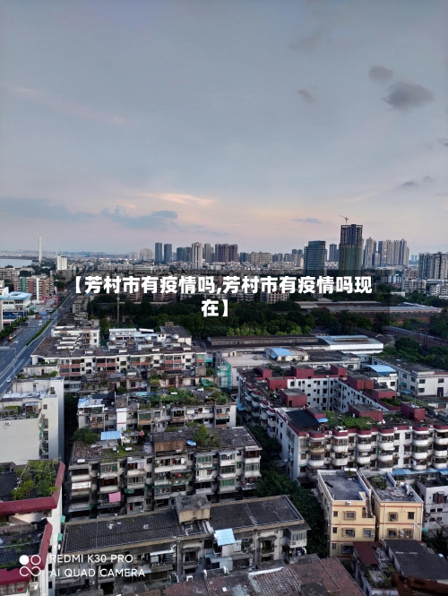 【芳村市有疫情吗,芳村市有疫情吗现在】-第1张图片