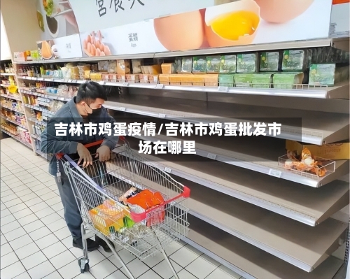 吉林市鸡蛋疫情/吉林市鸡蛋批发市场在哪里-第1张图片