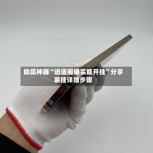 助赢神器“逍遥阁确实能开挂”分享装挂详细步骤-第2张图片