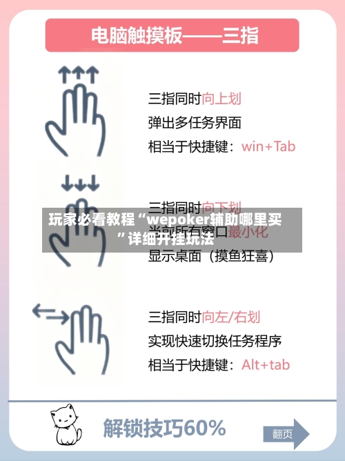 玩家必看教程“wepoker辅助哪里买”详细开挂玩法-第3张图片