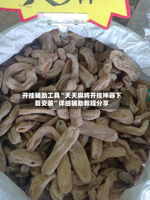 开挂辅助工具“天天麻将开挂神器下载安装”详细辅助教程分享-第1张图片