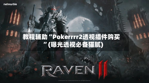 教程辅助“Pokerrrr2透视插件购买”(曝光透视必备猫腻)-第3张图片