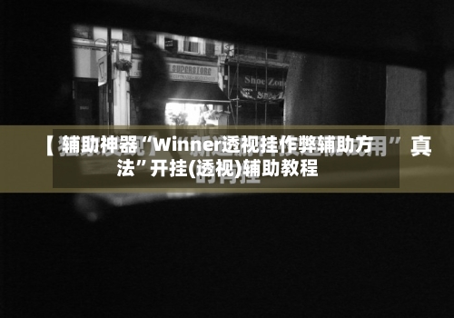辅助神器“Winner透视挂作弊辅助方法”开挂(透视)辅助教程-第3张图片