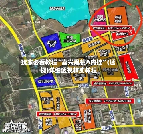 玩家必看教程“嘉兴黑桃A内挂	”(透视)详细透视辅助教程-第1张图片