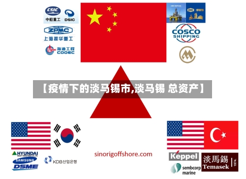 【疫情下的淡马锡市,淡马锡 总资产】-第1张图片