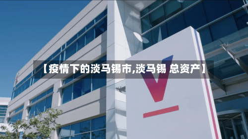 【疫情下的淡马锡市,淡马锡 总资产】-第3张图片