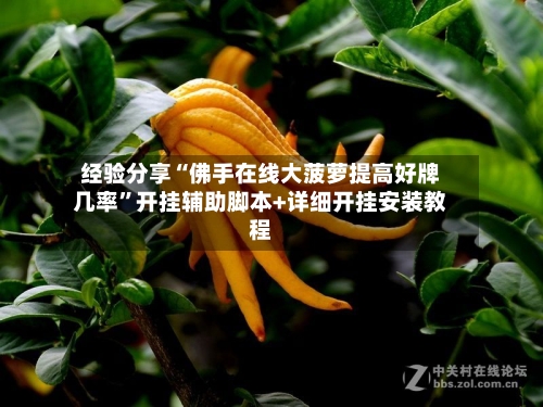 经验分享“佛手在线大菠萝提高好牌几率	”开挂辅助脚本+详细开挂安装教程-第3张图片