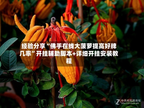 经验分享“佛手在线大菠萝提高好牌几率”开挂辅助脚本+详细开挂安装教程-第2张图片