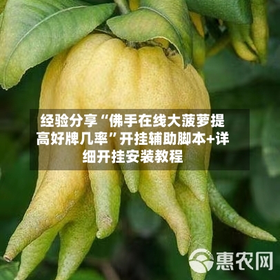 经验分享“佛手在线大菠萝提高好牌几率”开挂辅助脚本+详细开挂安装教程-第1张图片