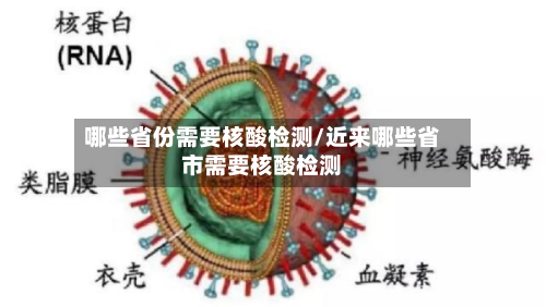 哪些省份需要核酸检测/近来哪些省市需要核酸检测-第1张图片