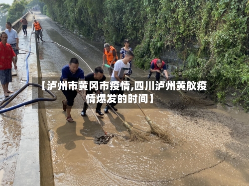 【泸州市黄冈市疫情,四川泸州黄舣疫情爆发的时间】-第1张图片
