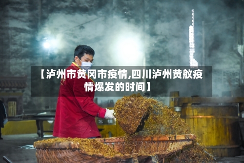 【泸州市黄冈市疫情,四川泸州黄舣疫情爆发的时间】-第3张图片