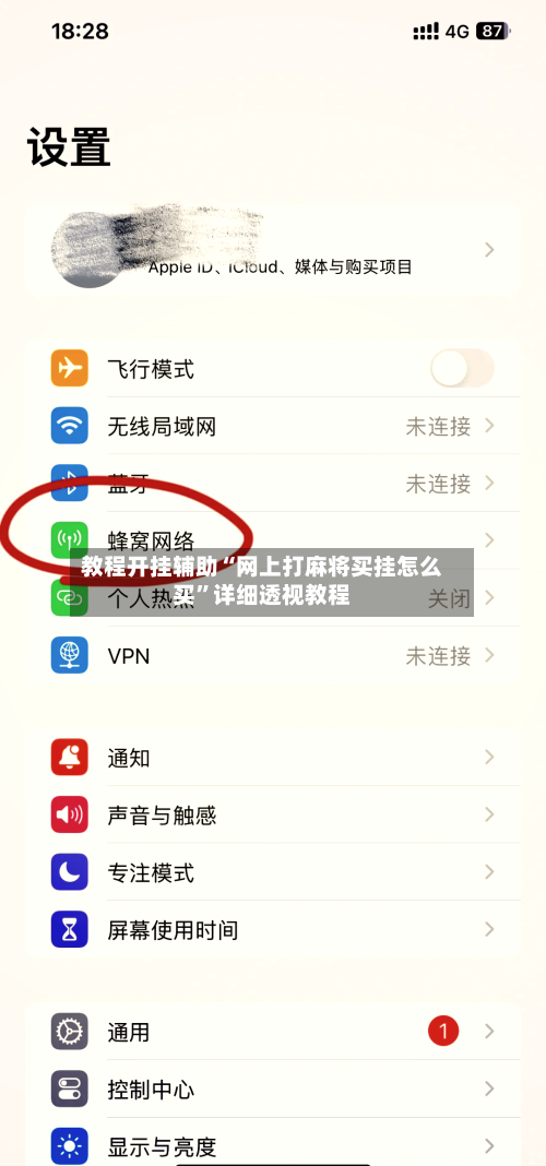 教程开挂辅助“网上打麻将买挂怎么买”详细透视教程-第3张图片