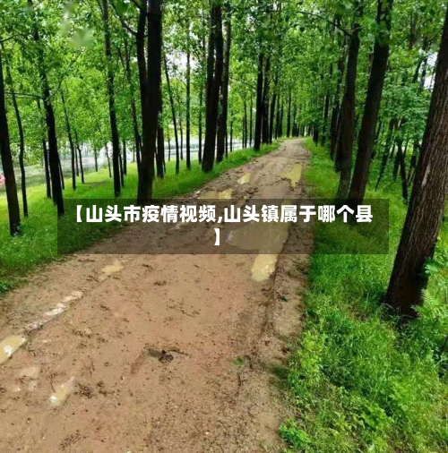 【山头市疫情视频,山头镇属于哪个县】-第1张图片