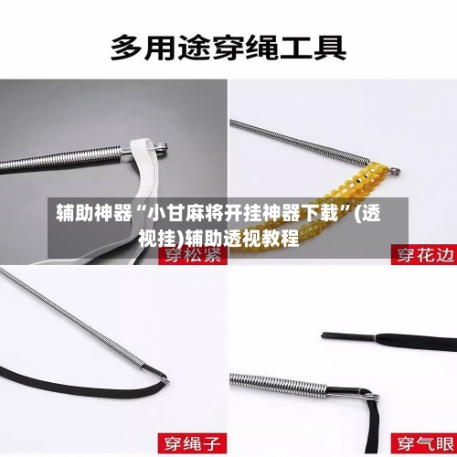 辅助神器“小甘麻将开挂神器下载	”(透视挂)辅助透视教程-第1张图片