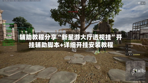 辅助教程分享“新星游大厅透视挂”开挂辅助脚本+详细开挂安装教程-第2张图片