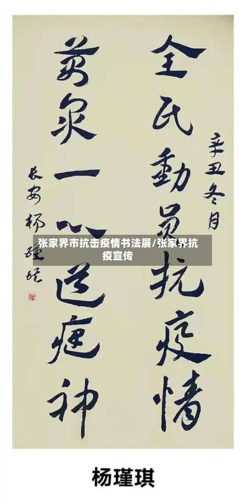 张家界市抗击疫情书法展/张家界抗疫宣传-第2张图片