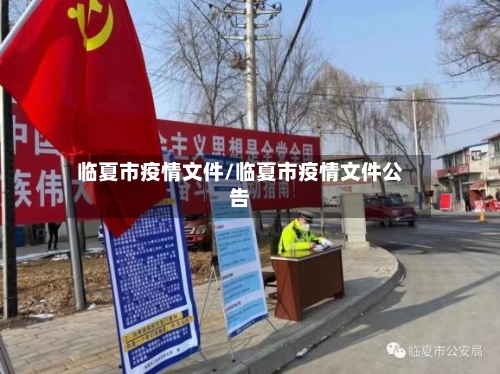 临夏市疫情文件/临夏市疫情文件公告-第2张图片