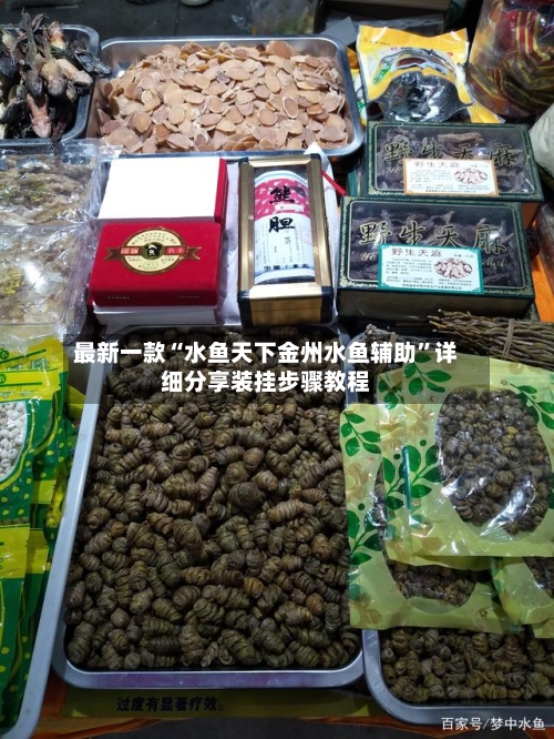 最新一款“水鱼天下金州水鱼辅助”详细分享装挂步骤教程-第1张图片