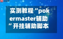 实测教程“pokermaster辅助”开挂辅助脚本+详细开挂安装教程-第1张图片
