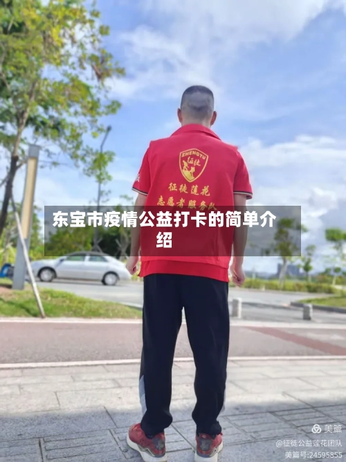 东宝市疫情公益打卡的简单介绍-第3张图片
