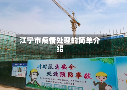江宁市疫情处理的简单介绍-第1张图片