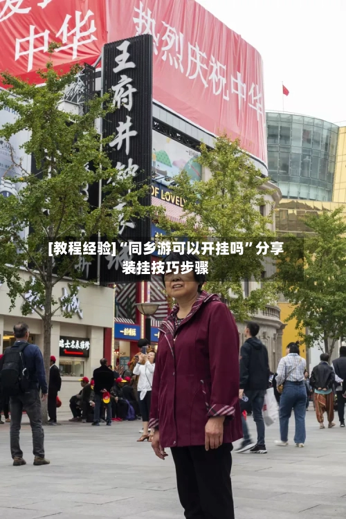 [教程经验]“同乡游可以开挂吗”分享装挂技巧步骤-第2张图片