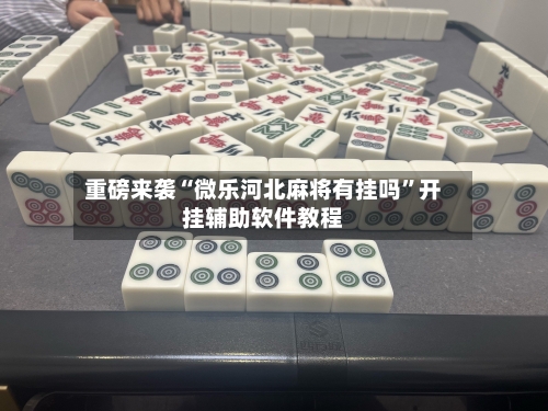 重磅来袭“微乐河北麻将有挂吗”开挂辅助软件教程-第2张图片