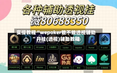 实操教程“wepoker能不能透视辅助”开挂(透视)辅助教程-第2张图片