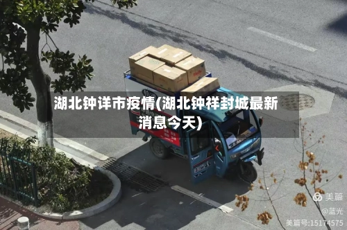 湖北钟详市疫情(湖北钟祥封城最新消息今天)-第3张图片