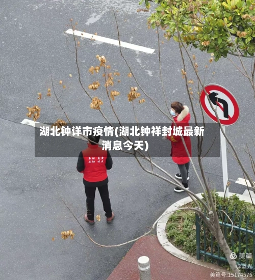 湖北钟详市疫情(湖北钟祥封城最新消息今天)-第2张图片