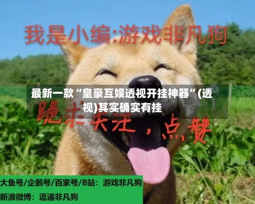最新一款“皇豪互娱透视开挂神器”(透视)其实确实有挂-第1张图片